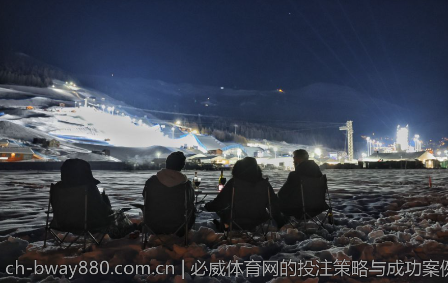 必威体育网的投注策略与成功案例分享